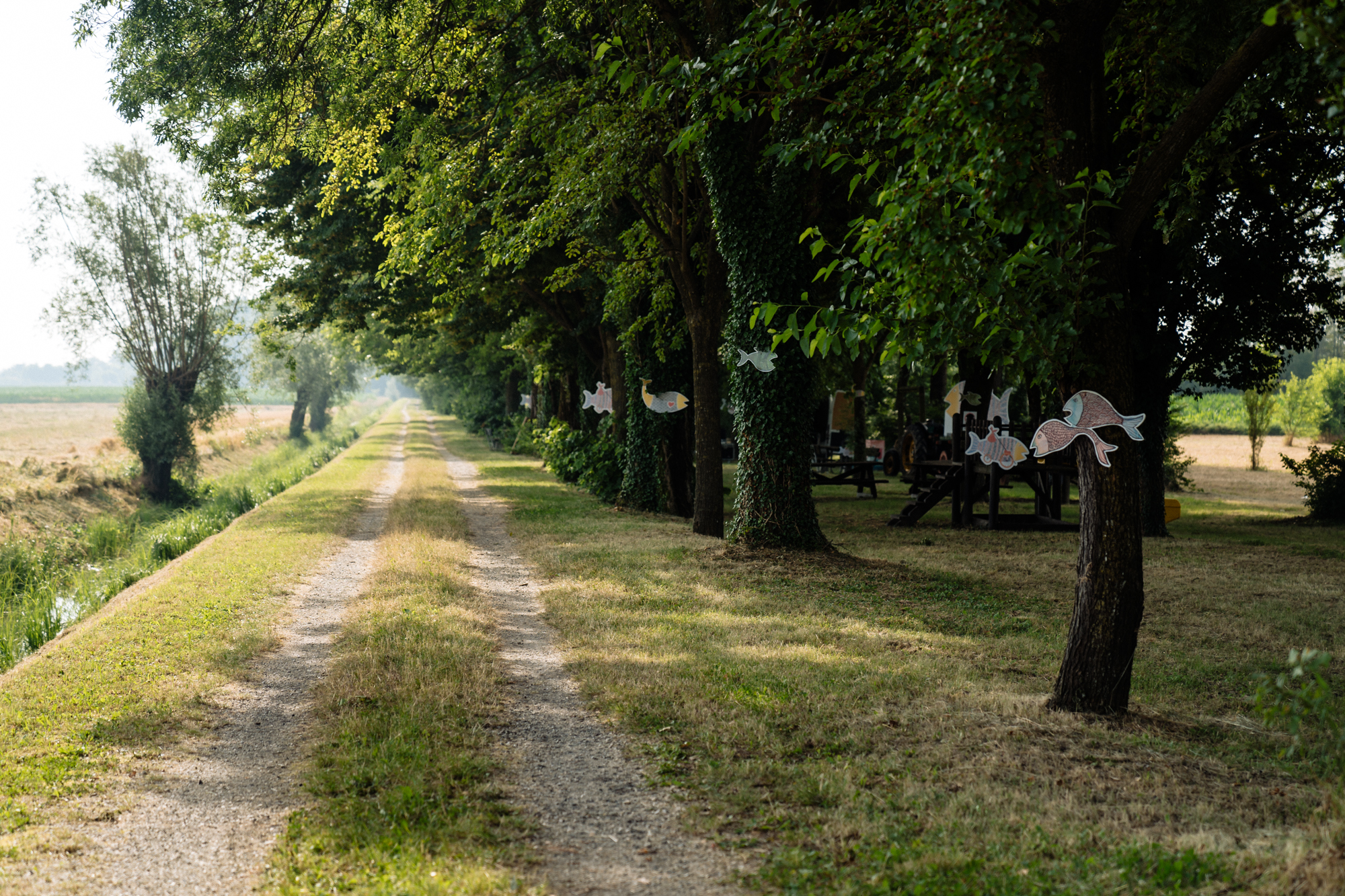 Festival delle Basse quinta edizione